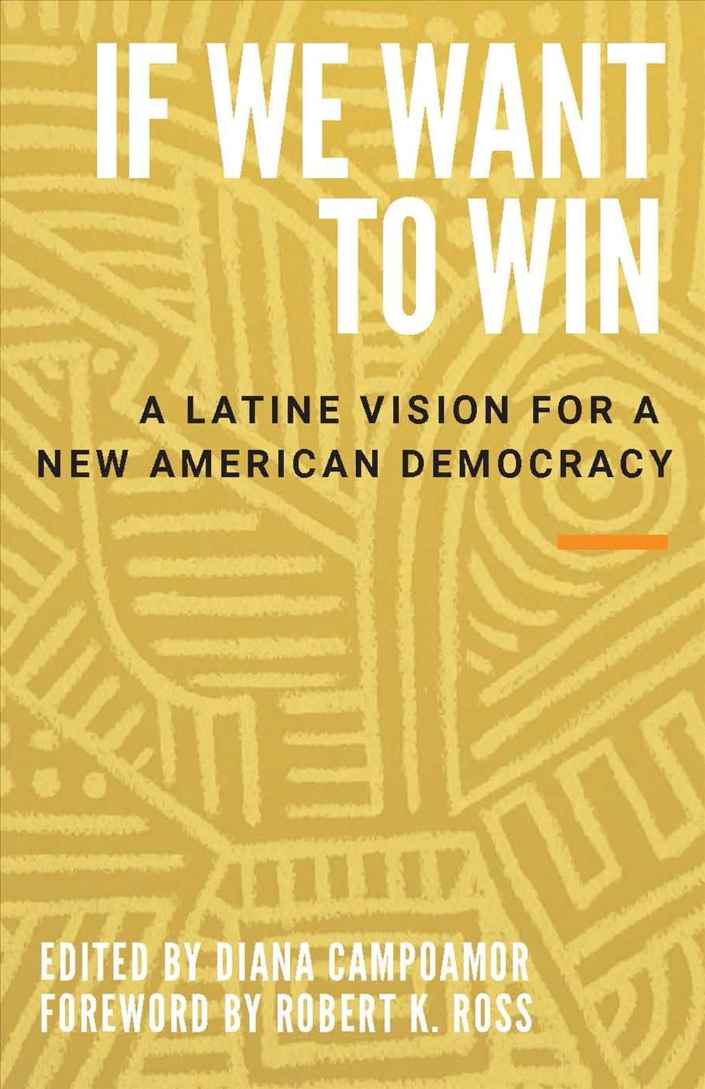 If We Want to Win By Diana Campoamor (editor) 9781620976807 (Hardback)