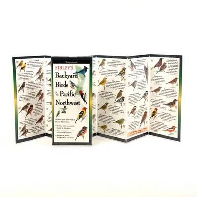 Sibley's Back. Birds of Pacific Northwest 9781621261193 (Poster)