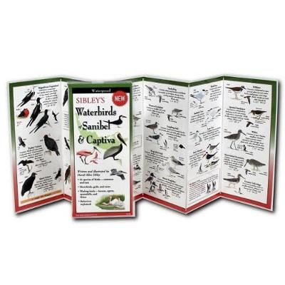 Sibley's Waterbirds of Sanibel & Captiva By David Sibley 9781621262404