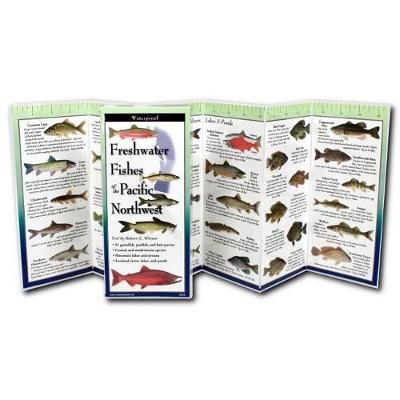 Freshwater Fishes of the Pacific Northwest By Werner 9781621262817