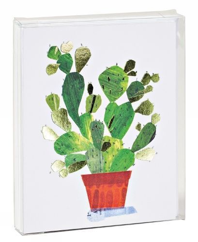 Cactus Notecard Set By Maria Carluccio 9781623257910 (Cards)