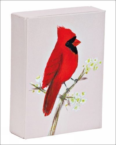 Red Cardinal Playing Cards By Howard, Allyn 9781623258610 (Book)
