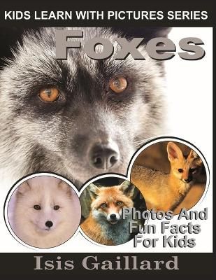 Foxes By Isis Gaillard 9781623277390 (Paperback)