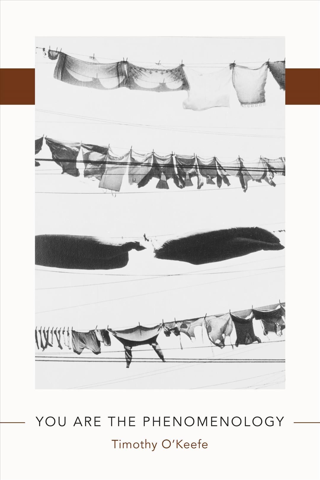 You Are the Phenomenology By Timothy O'Keefe 9781625343512 (Paperback)