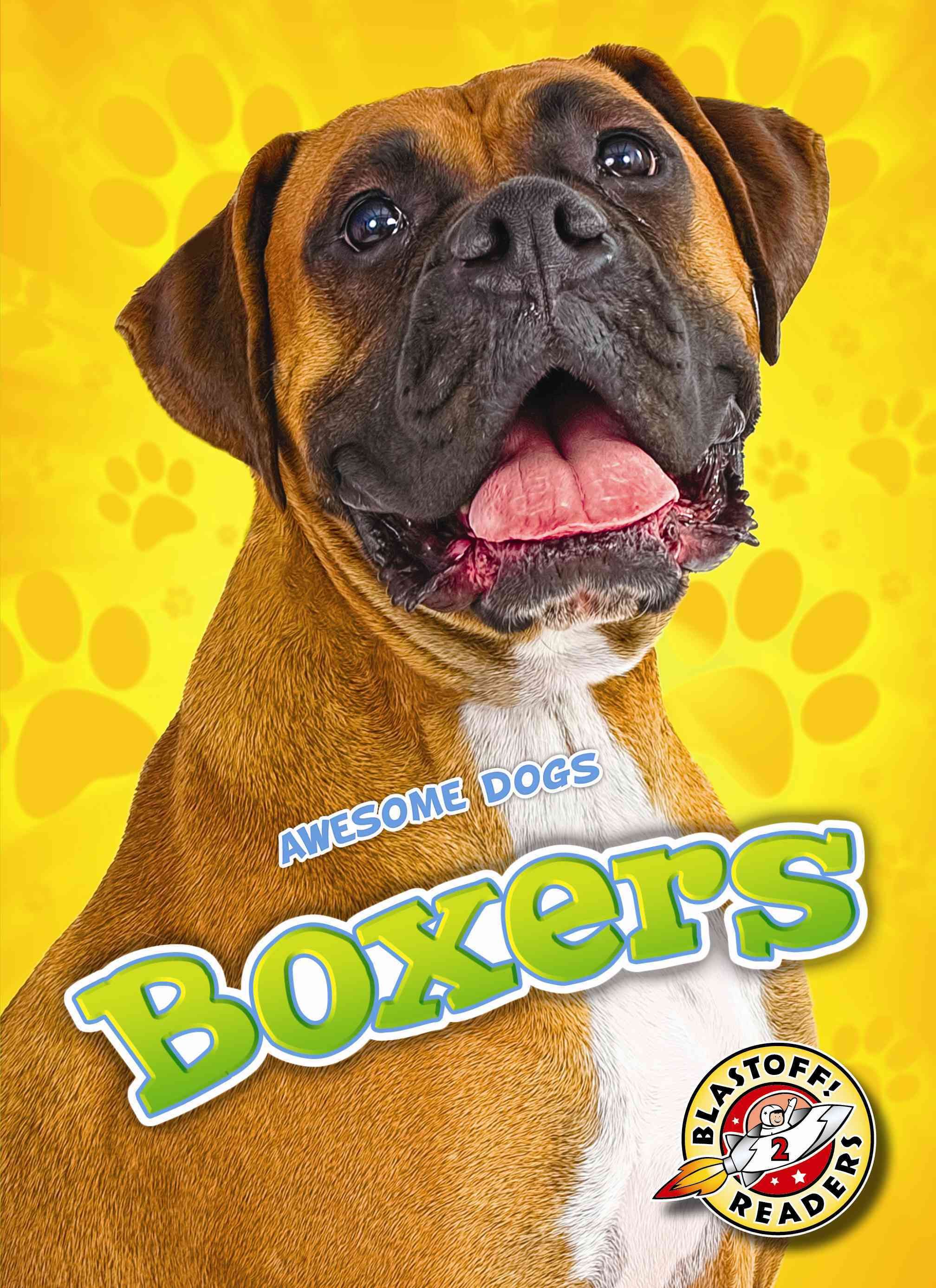 Boxers By Mari C. Schuh 9781626173033 (Hardback)