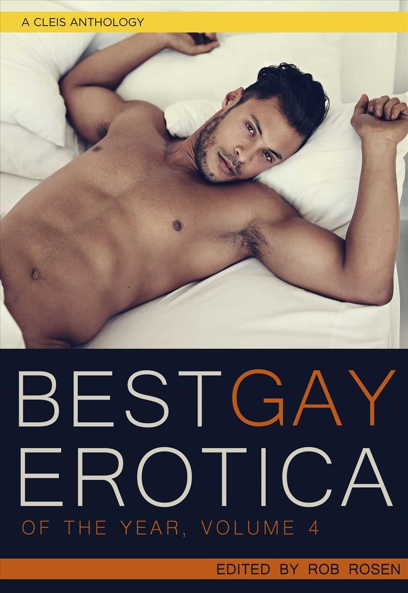 Best Gay Erotica of the Year, Volume 4 By Rob Rosen 9781627782845
