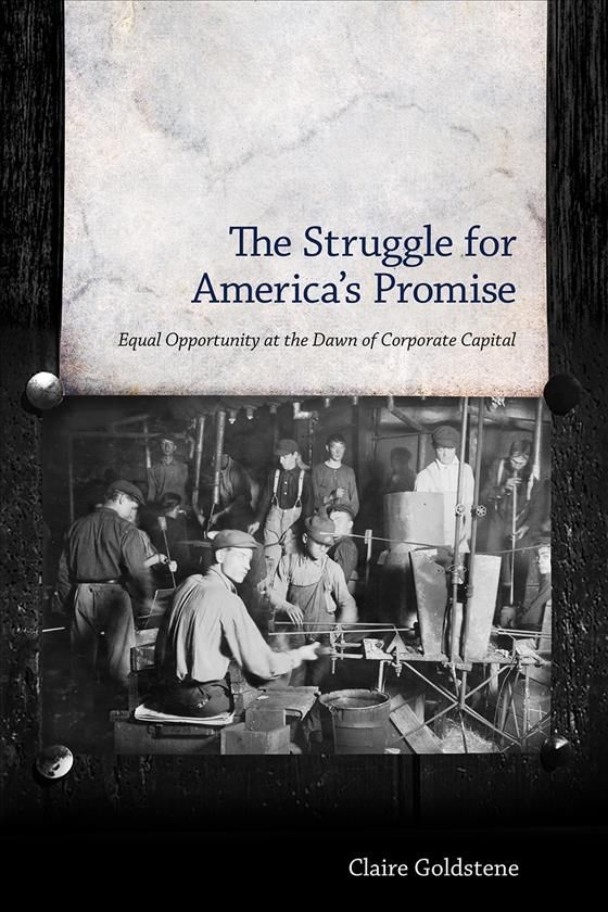 The Struggle for America's Promise By Claire Goldstene 9781628462449