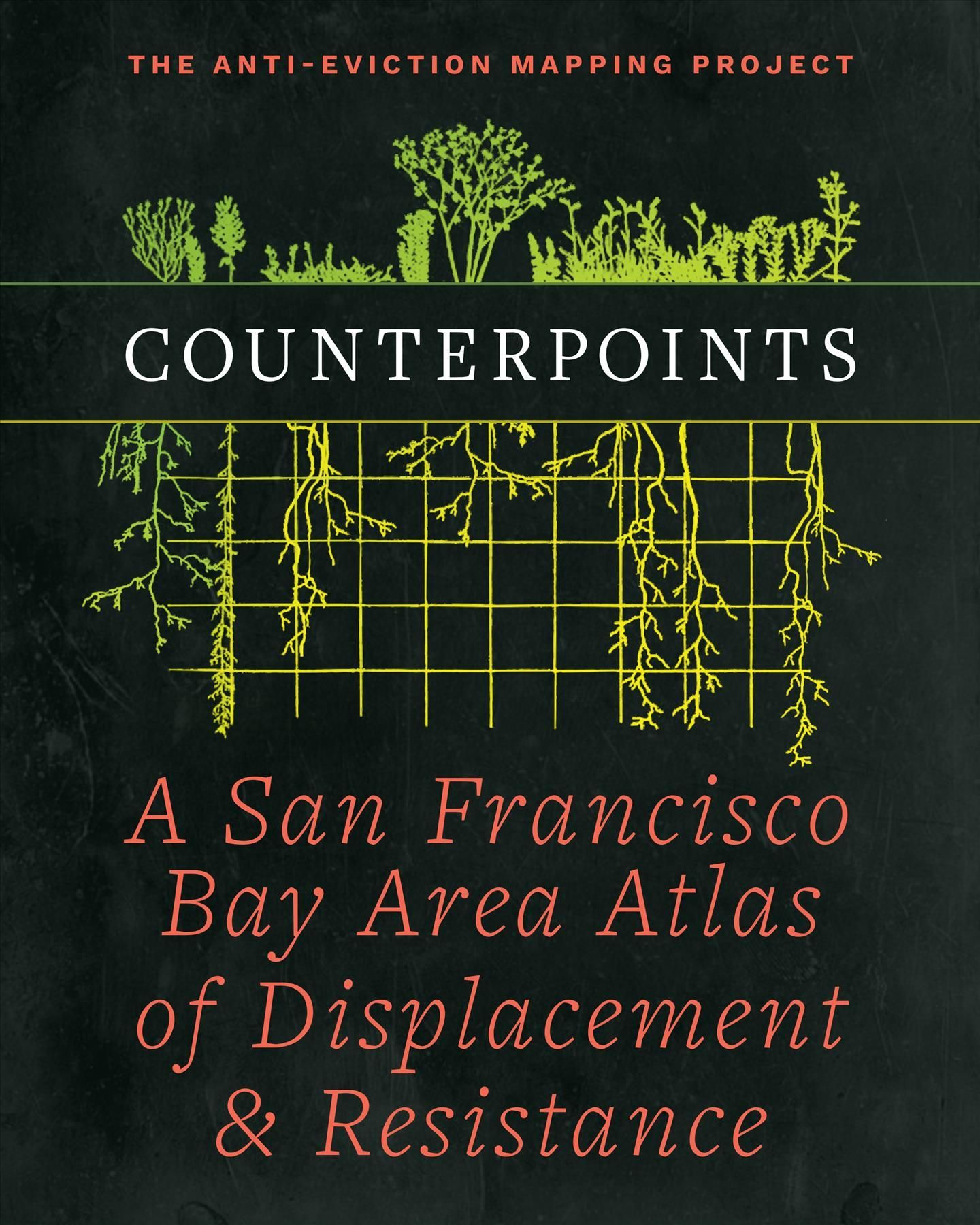 Counterpoints By Ananya Roy 9781629638287 (Paperback)