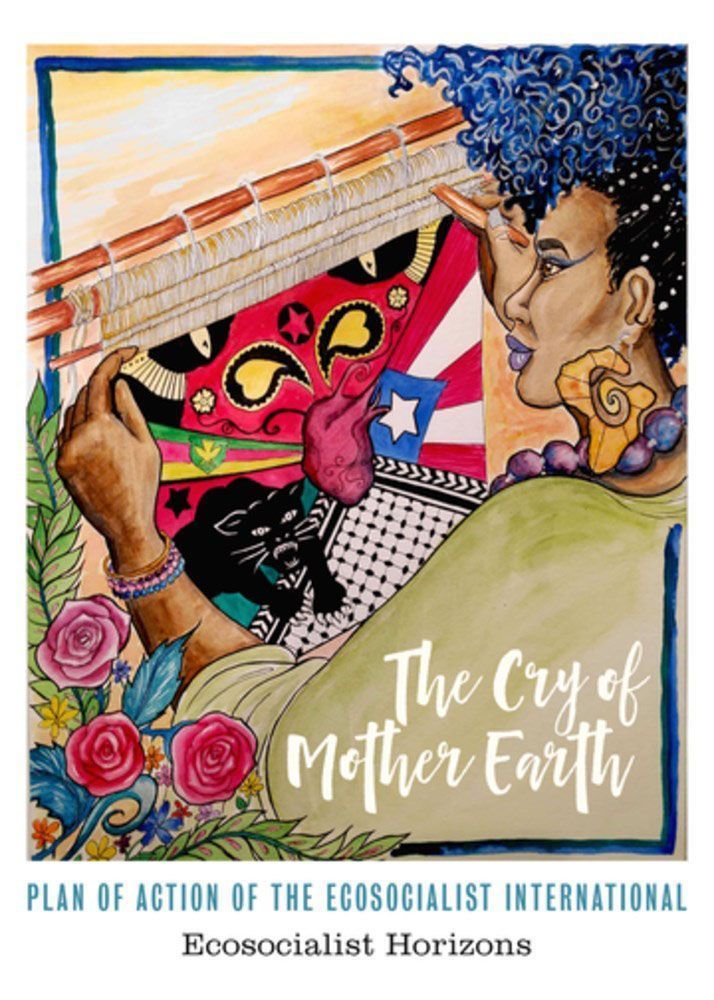 The Cry of Mother Earth By Ecosocialist Horizons 9781629639369