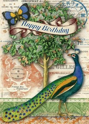 Happy Birthday Peacock By Amber Lotus 9781631364822 (Cards)