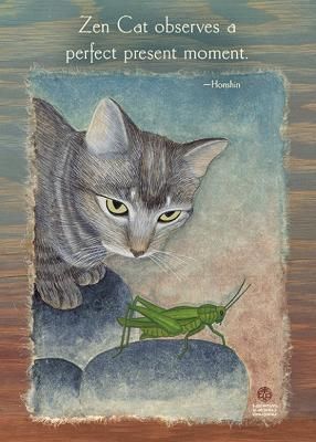 ZEN Cat Observes By Amber Lotus 9781631364846 (Cards)