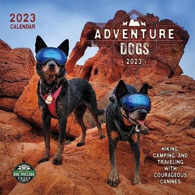 Adventure Dogs 2023 Wall Calendar By Amber Lotus Publishing (Calendar)