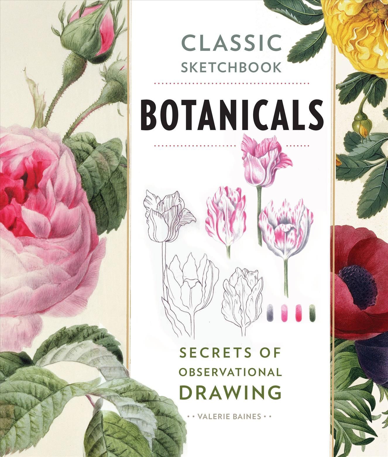 Botanicals By Valerie Baines 9781631591396 (Paperback)