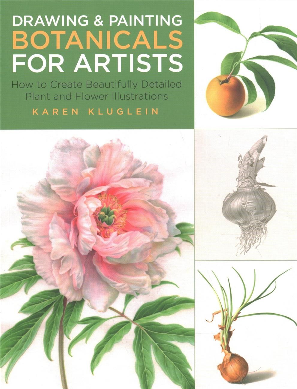 Drawing and Painting Botanicals for Artists By Karen Kluglein