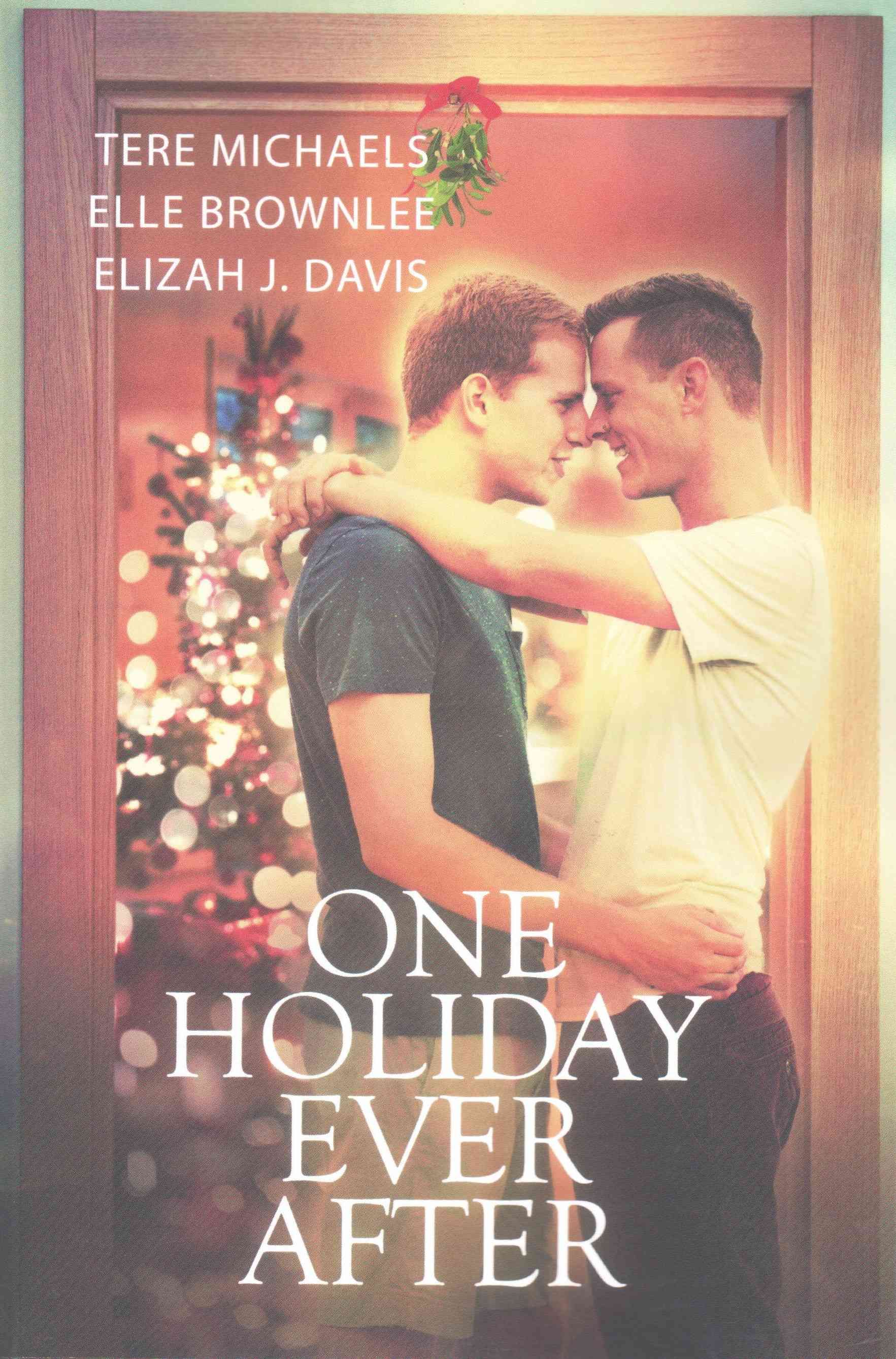 One Holiday Ever After By Tere Michaels 9781632165770 (Paperback)