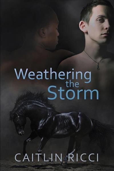 Weathering the Storm Volume 1 By Caitlin Ricci 9781632169983