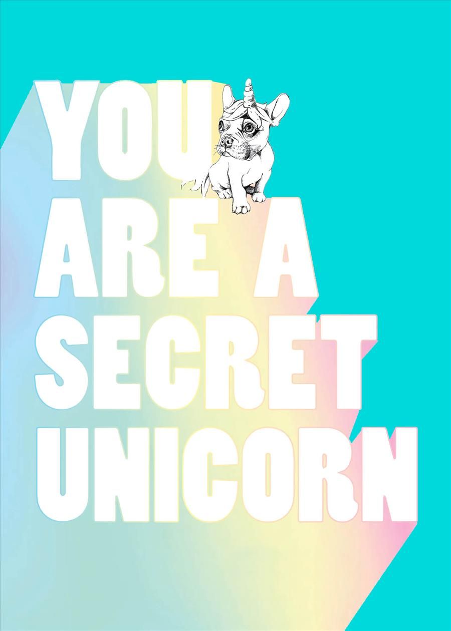 You Are a Secret Unicorn (Journal) By Jill Pickle 9781632173607