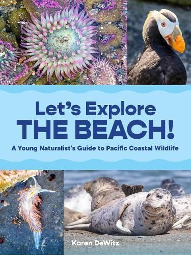 Let's Explore the Beach! By Karen DeWitz 9781632174420 (Paperback)