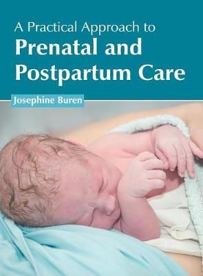 Practical Approach to Prenatal and Postpartum Care By Buren (Hardback)