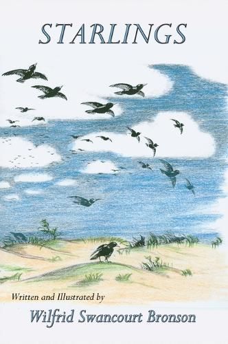 Starlings By Wilfrid Swancourt Bronson 9781632936103 (Hardback)