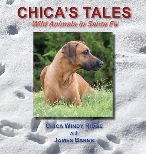 Chica's Tales By James Baker 9781632936325 (Hardback)