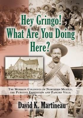 Hey Gringo! What Are You Doing Here? By David K Martineau (Paperback)