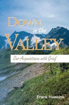 Down in the Valley By Frank Hawkins 9781635280104 (Paperback)
