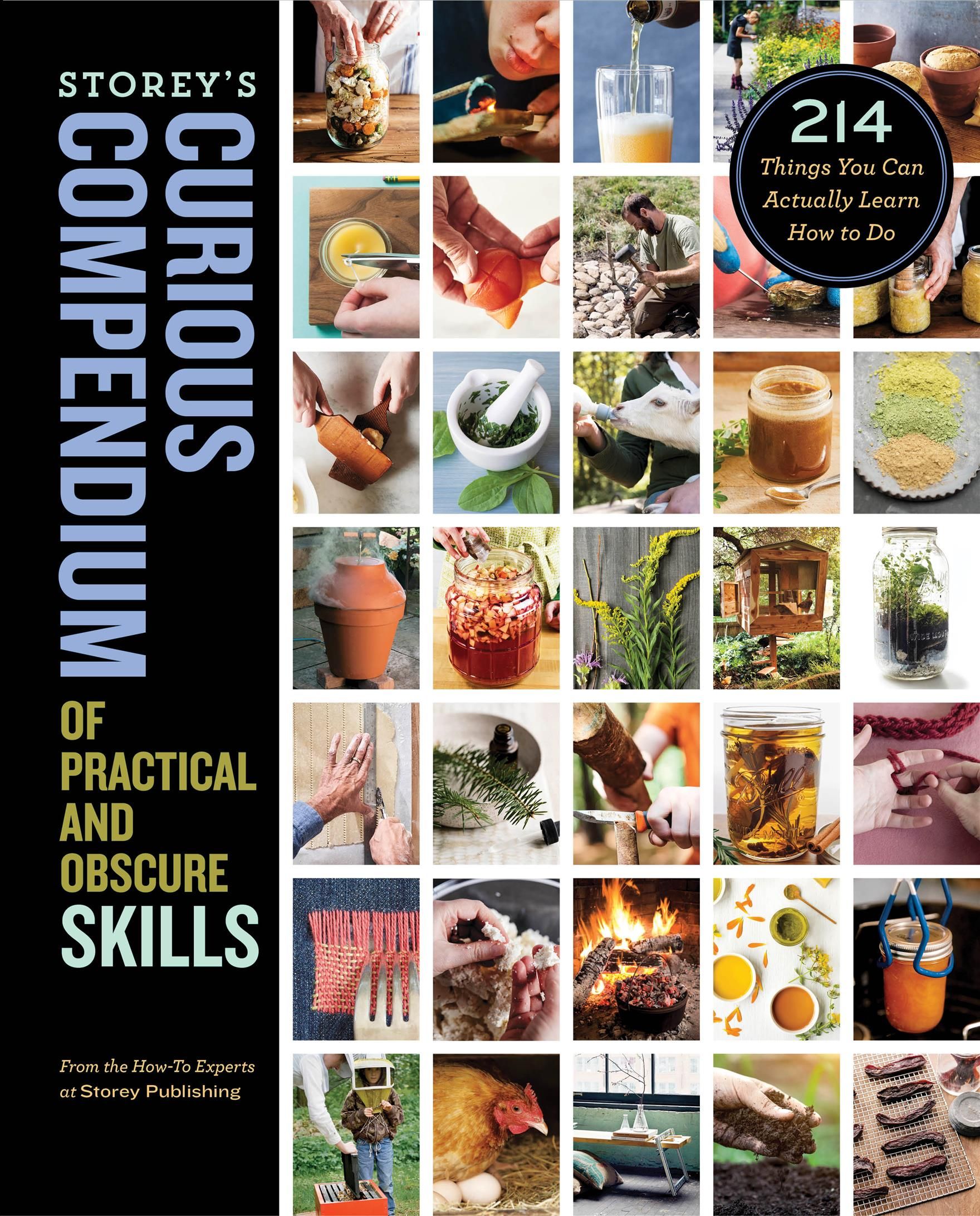 Storey's Curious Compendium of Practical and Obscure Skills (Hardback)