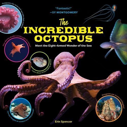 The Incredible Octopus By Erin T. Spencer 9781635866285 (Hardback)
