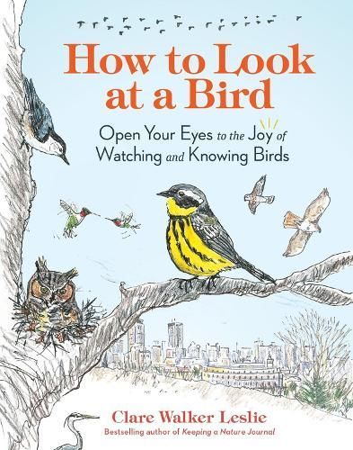 How to Look at a Bird By Clare Walker Leslie 9781635866490 (Paperback)