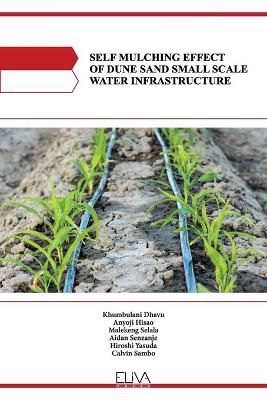 Self Mulching Effect of Dune Sand Small Scale Water Infrastructure