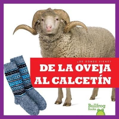 De La Oveja Al Calcetín (From Sheep to Sock) By Avery Toolen
