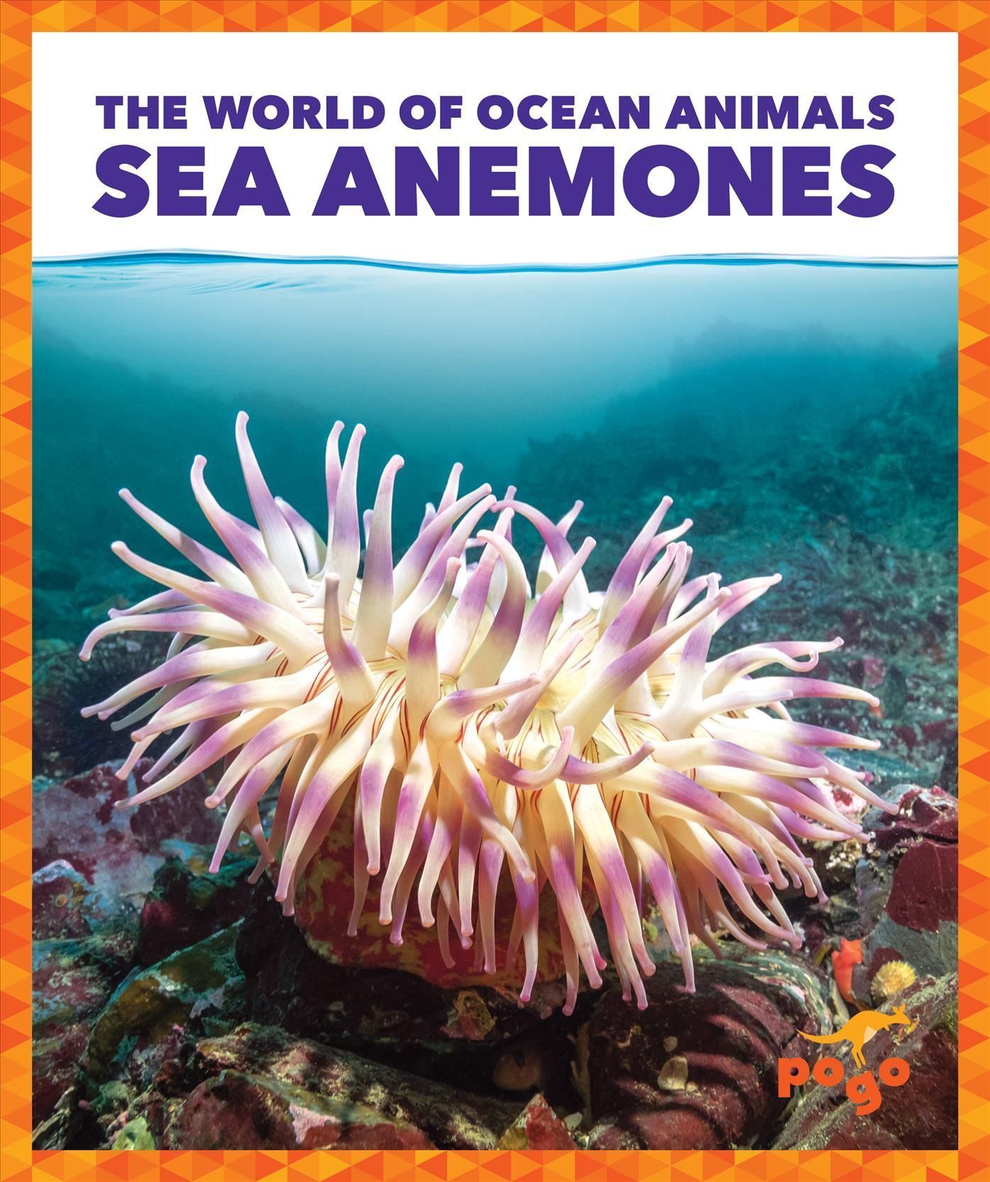 Sea Anemones By Adeline J. Zimmerman 9781636902913 (Hardback)