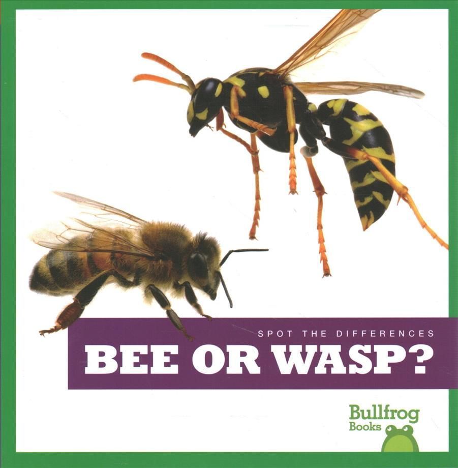Bee or Wasp? By Adeline J Zimmerman (author), N/A (illustrator)