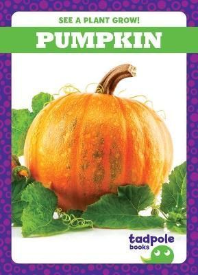 Pumpkin By Charlie W Sterling 9781636907031 (Paperback)