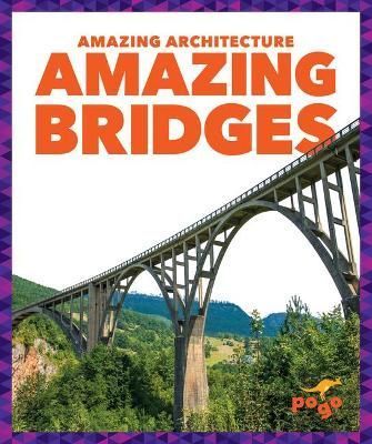 Amazing Bridges By Anita Nahta Amin 9781636907321 (Hardback)