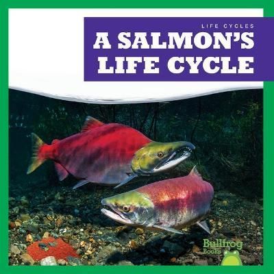 A Salmon's Life Cycle By Jamie Rice 9781636908373 (Hardback)