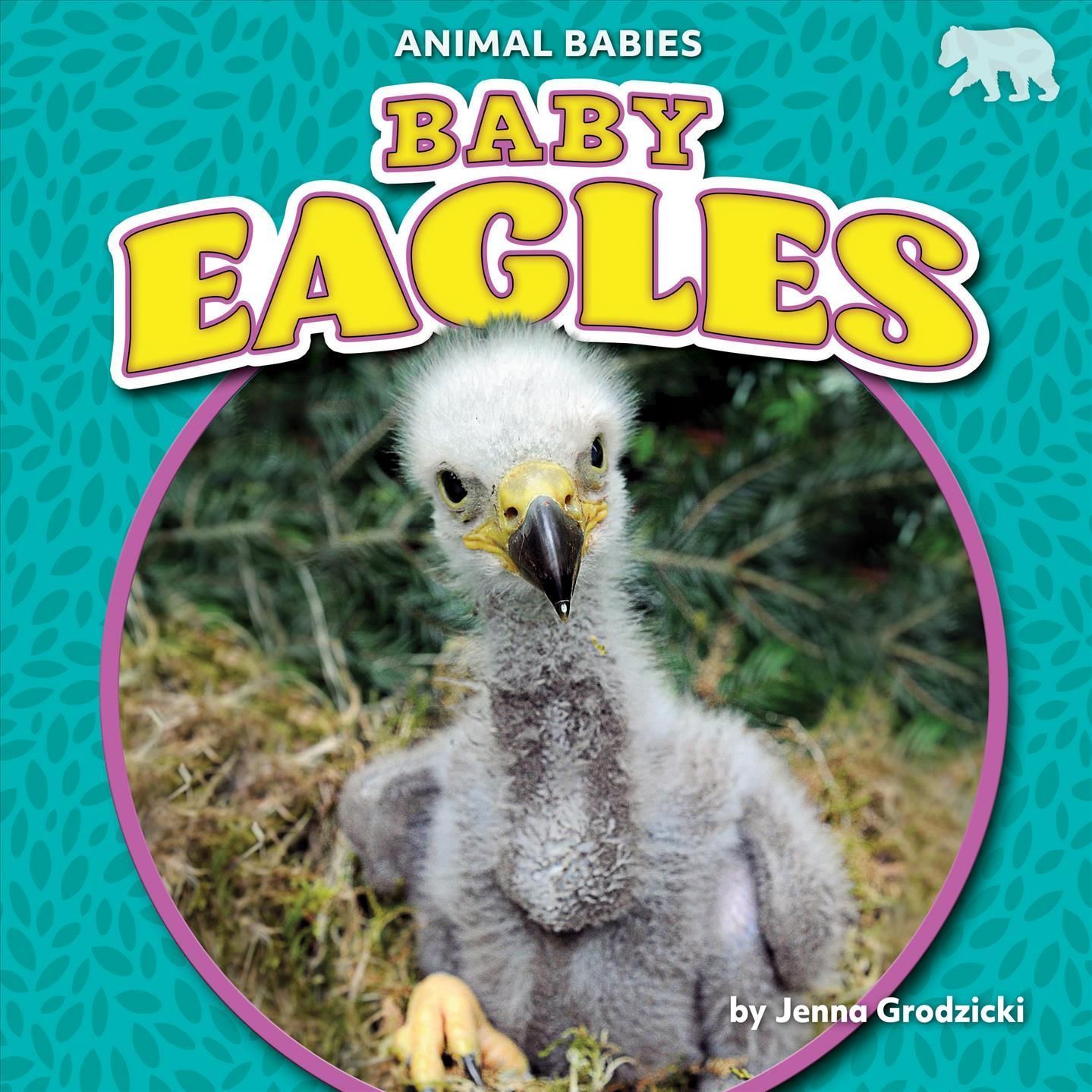 Baby Eagles By Jenna Grodzicki 9781636913551 (Book)