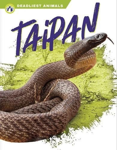 Taipan By Rachel Hamby 9781637383247 (Paperback)