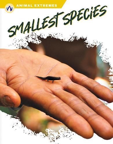 Smallest Species By Elisabeth Norton 9781637385869 (Paperback)