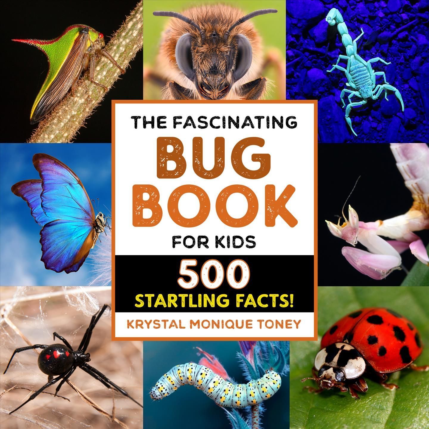 The Fascinating Bug Book for Kids By Krystal Monique Toney (Paperback)