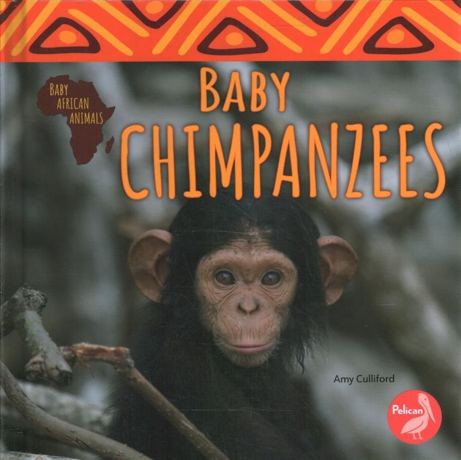 Baby Chimpanzees By Amy Culliford 9781638970804 (Hardback)