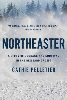 Northeaster By Cathie Pelletier 9781639365807 (Paperback)