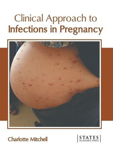 Clinical Approach to Infections in Pregnancy By Mitchell 9781639897780