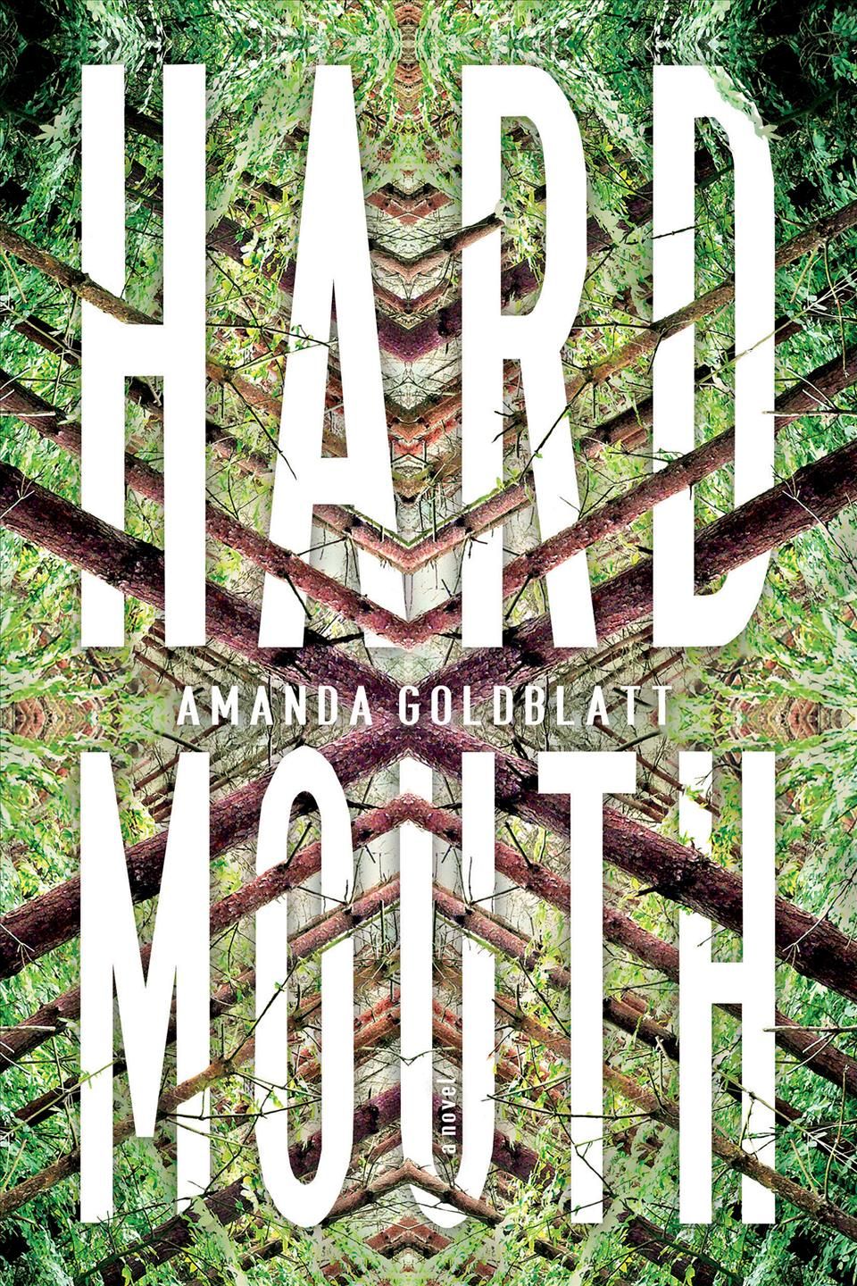 Hard Mouth By Amanda Goldblatt 9781640092426 (Paperback)