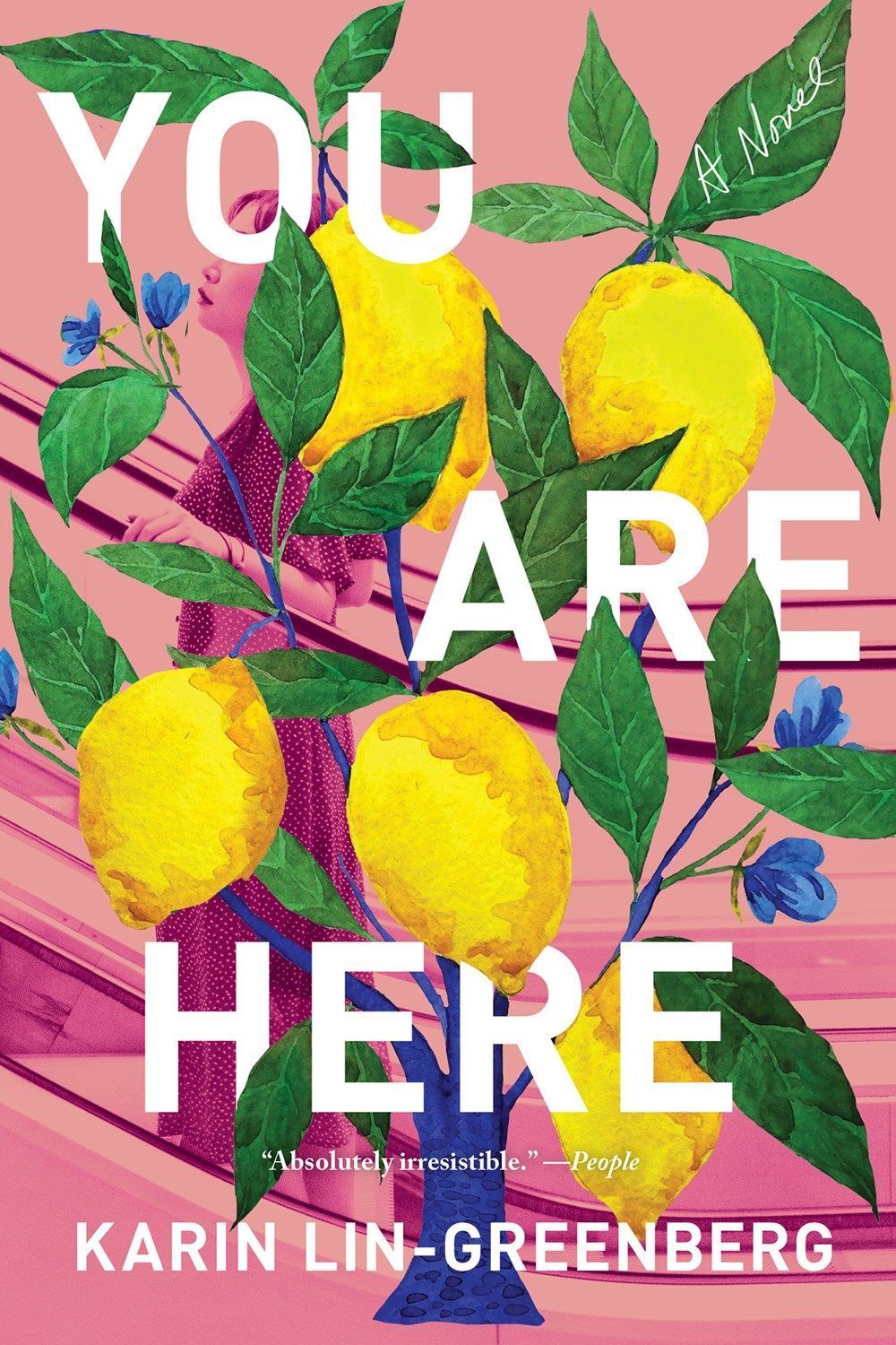 You Are Here By Karin Lin-Greenberg 9781640096431 (Paperback)