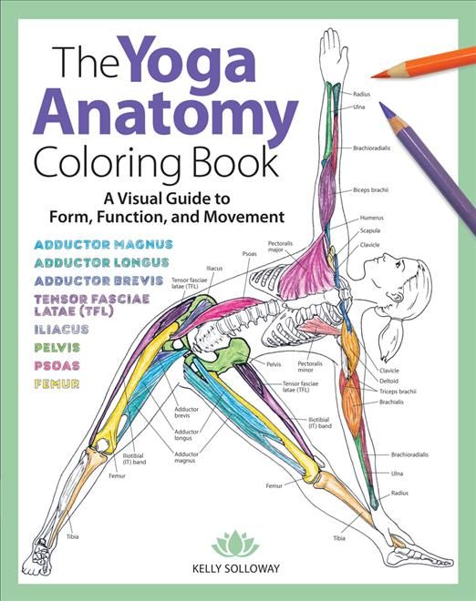 Yoga Anatomy Coloring Book, The 9781640210219 (Paperback)