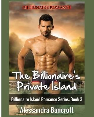 Billionaire Romance: The Billionaire's Private Island 9781640480865