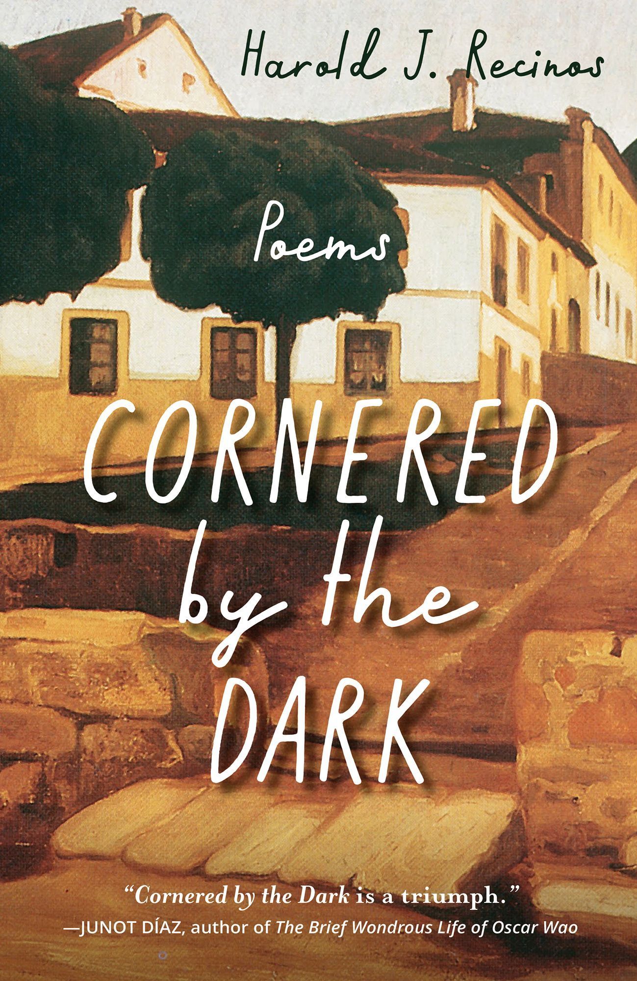 Cornered by the Dark By Harold J. Recinos 9781640604292 (Paperback)