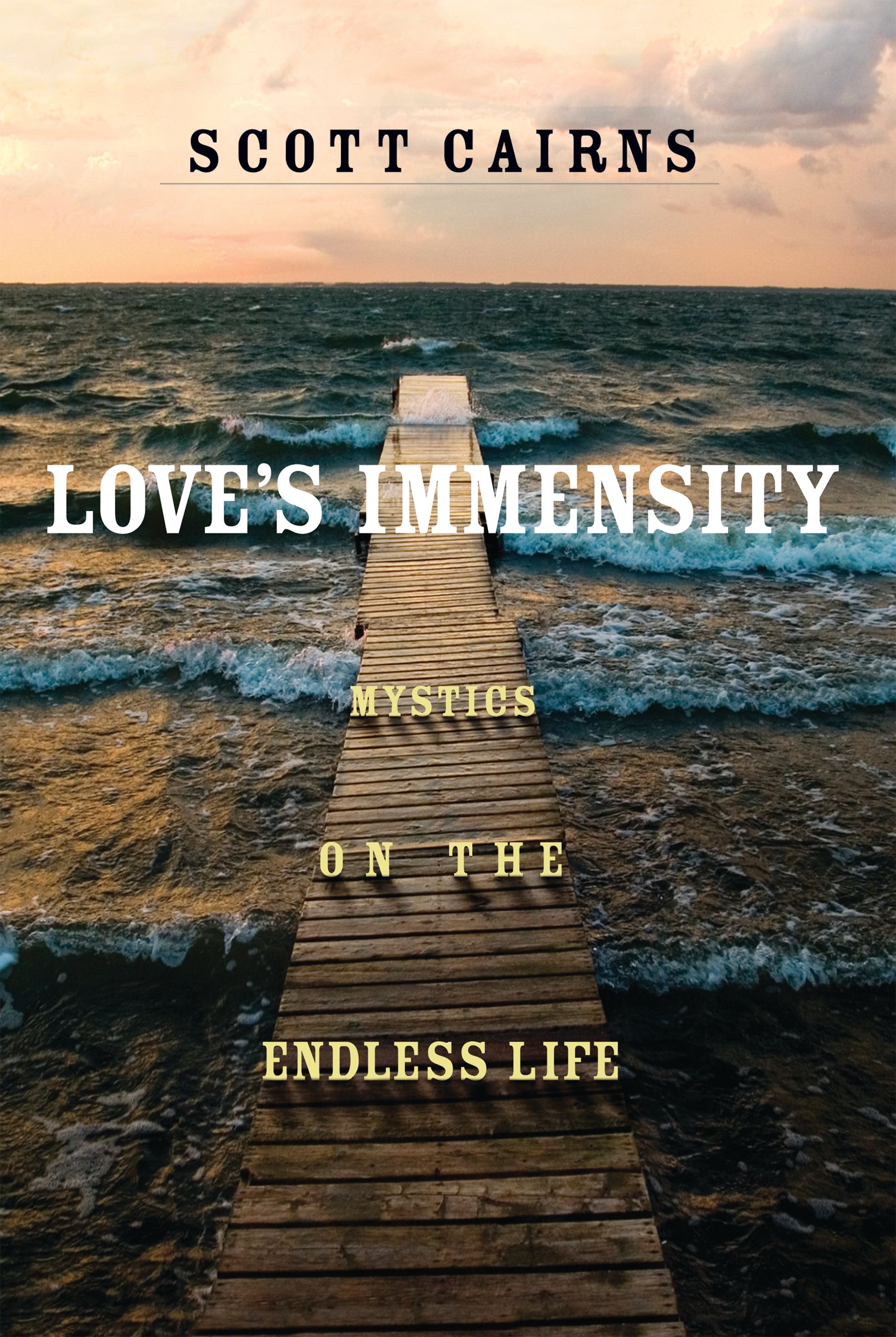 Love's Immensity By Scott Cairns 9781640605886 (Paperback)